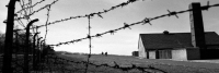 Teatro e resistenza nei campi di concentramento nazisti